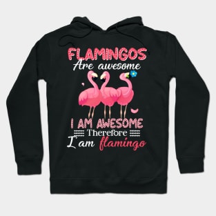 Flamingos Are Awesome I_m Awesome So I_m Flamingo Hoodie